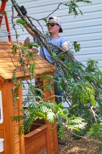 RBI clearing trees from an outdoor play area at Roberta Webb Childcare Center for United Way's Day of Action
