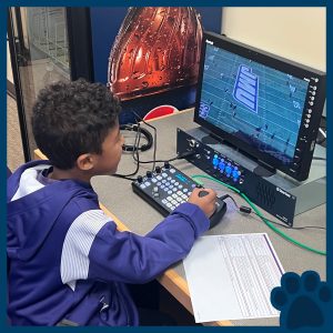 RBI's Top Dog Winner viewing the football game from a monitor.
